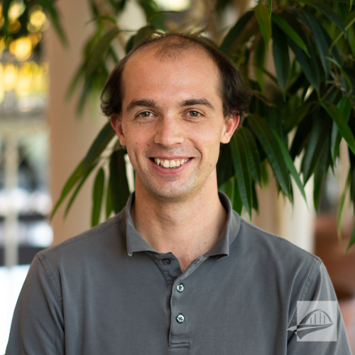 Shawn Poellet headshot. Shawn is wearing a gray short sleeve polo and has brown hair. He is smiling and standing in front of a branch of a tree inside a building that appears to be an office.