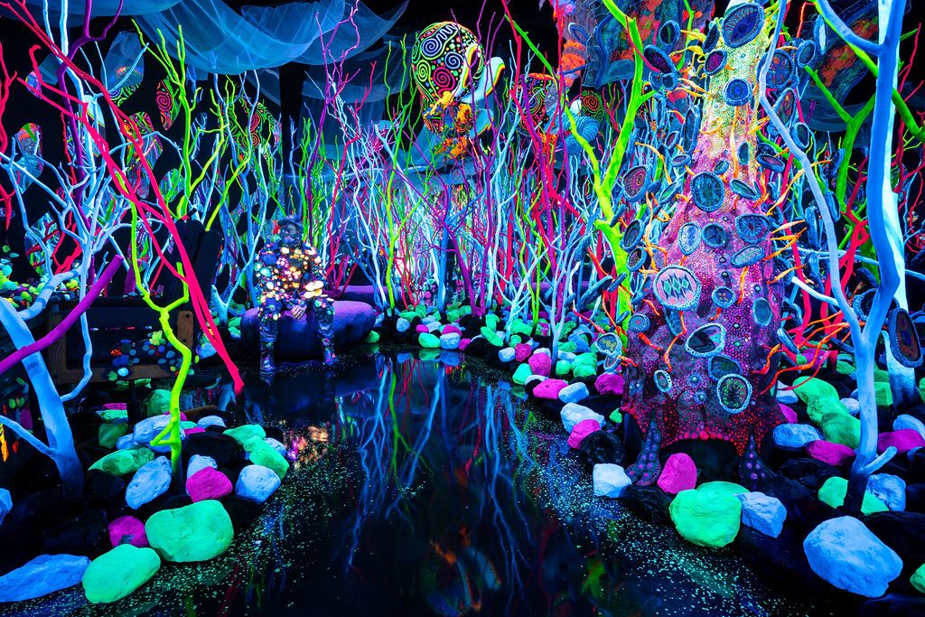 Meow Wolf photo by Elliot Lopes